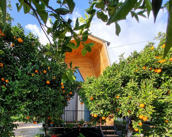 Orange Garden Bungalow